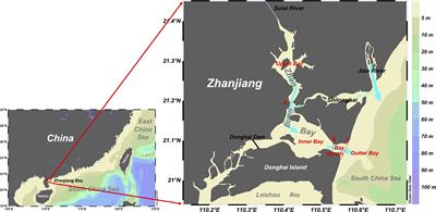 Unveiling the eutrophication crisis: 20 years of nutrient development in Zhanjiang Bay, China